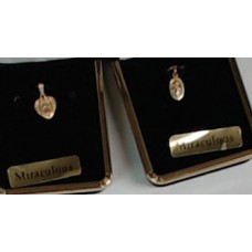 Miraculous Medals 14 kt Gold